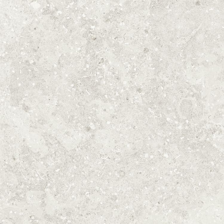 Sea Luster Bianca Matte 48 x 48